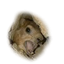 clanlogo